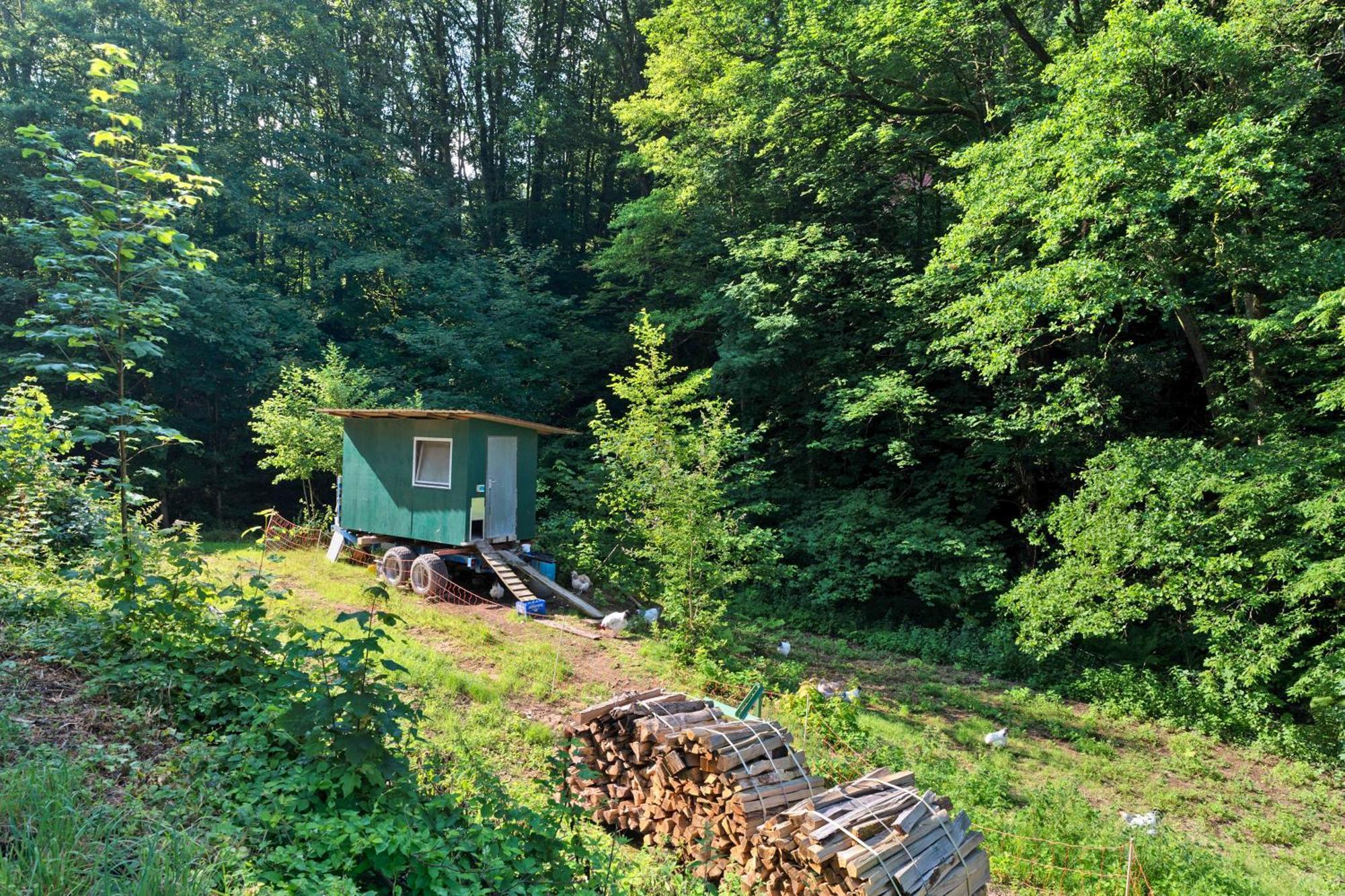 Ferienwohnung Am Hirschfelsen Бюлерталь Екстер'єр фото